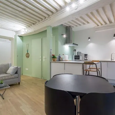 Character Apartment 6 People - City Center Lyon Exterior foto