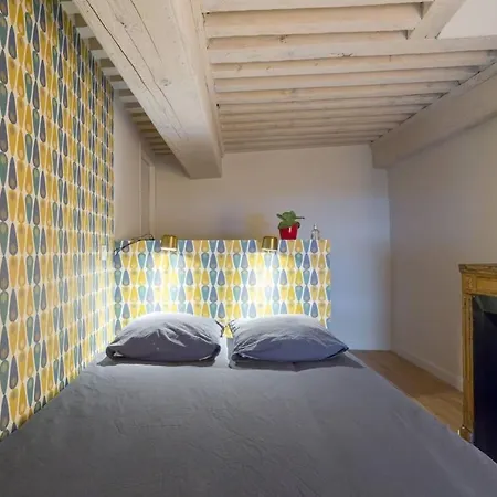 Character Apartment 6 People - City Center Lyon Exterior foto